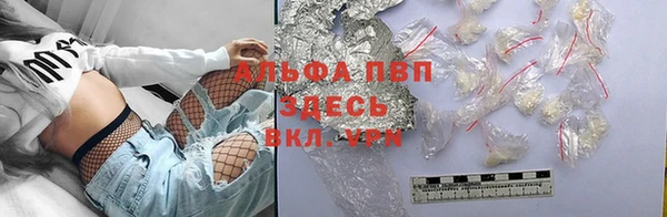 соль ск Ельня