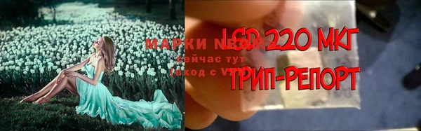 герыч Елизово