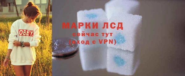 соль ск Ельня