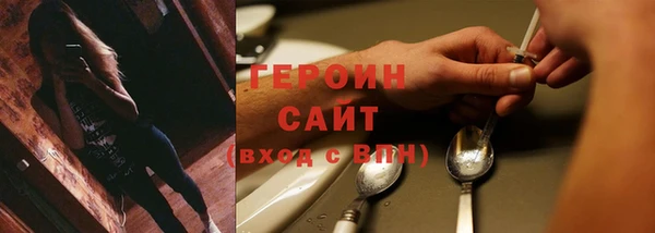 соль ск Ельня