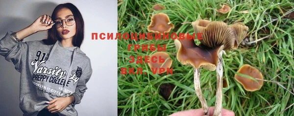 соль ск Ельня