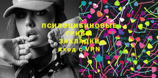 соль ск Ельня