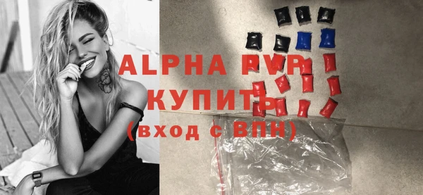 соль ск Ельня