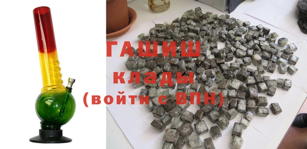 соль ск Ельня