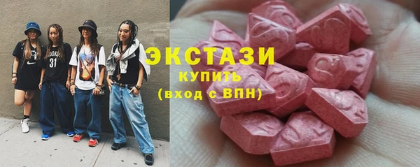 соль ск Ельня