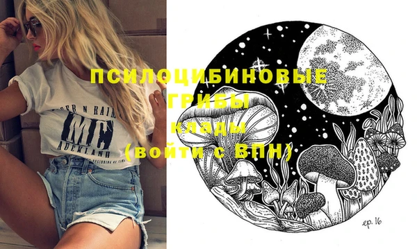 соль ск Ельня