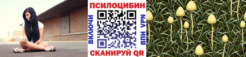 Купить где  Шарыпово  Псилоцибиновые грибы прущие грибы 